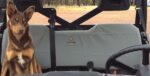 Canvas Seat Cover to suit 900XP RANGER 2015 -