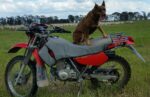 All-in-One Padded Canvas Seat and Tank Cover to suit Honda CTX200 BUSHLANDER 2002 -